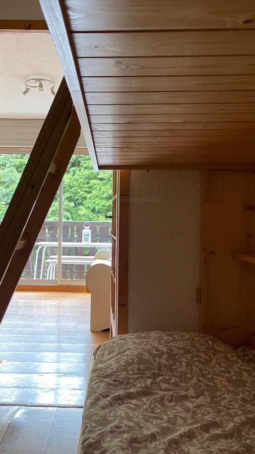 Cosy Studio On The Slopes And Centre Of Chamonix Eksteriør billede