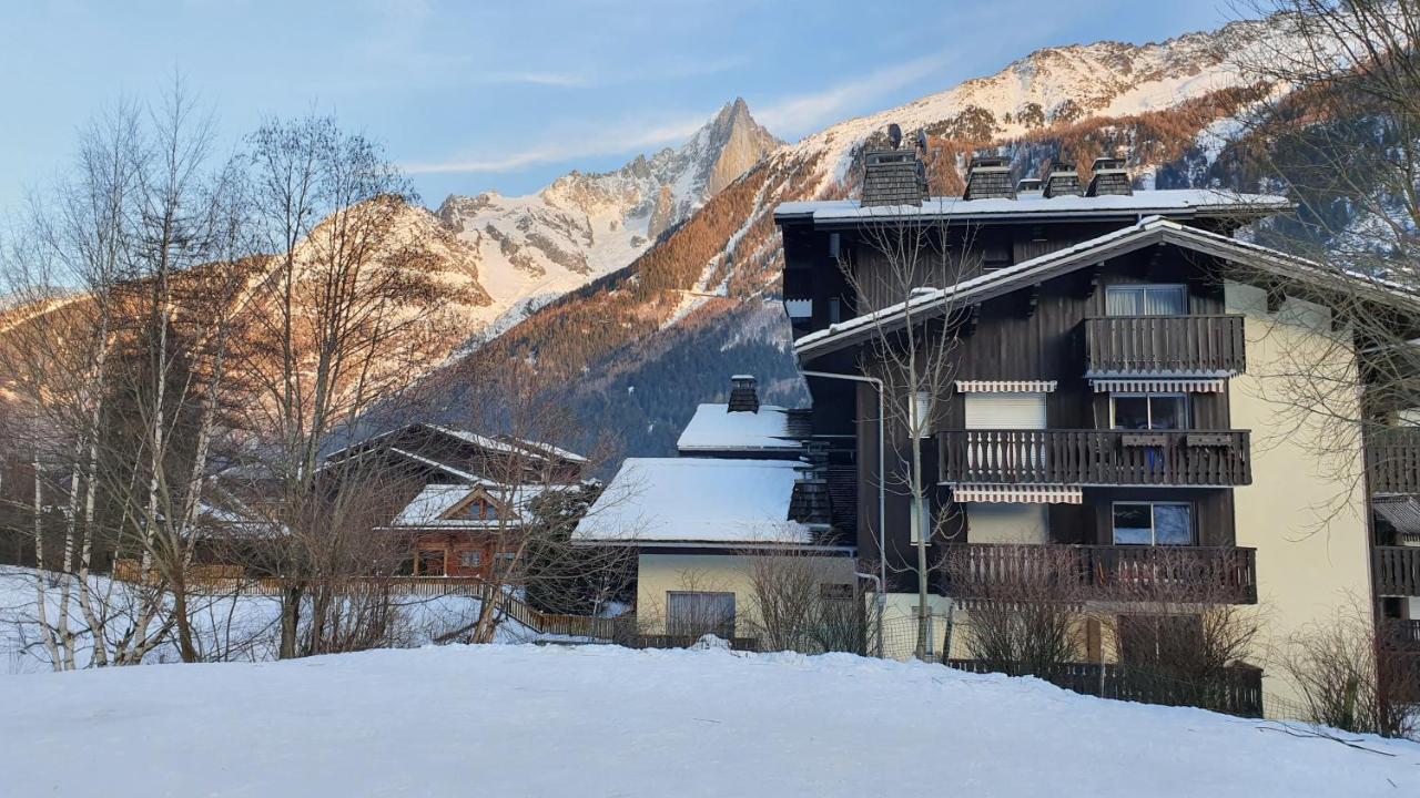 Cosy Studio On The Slopes And Centre Of Chamonix Eksteriør billede